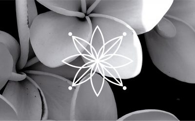 La Delicá. Proyecto de marketing farmacéutico.